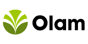 Olam